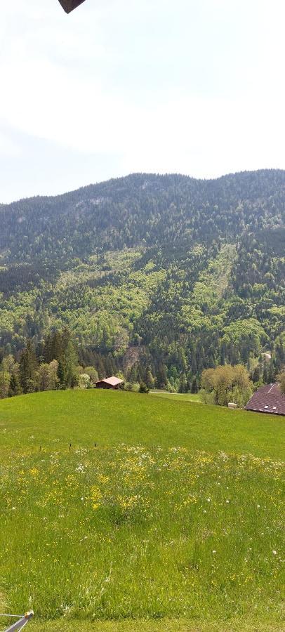 فيلا Bichlhof Riedenberg تيرسي المظهر الخارجي الصورة